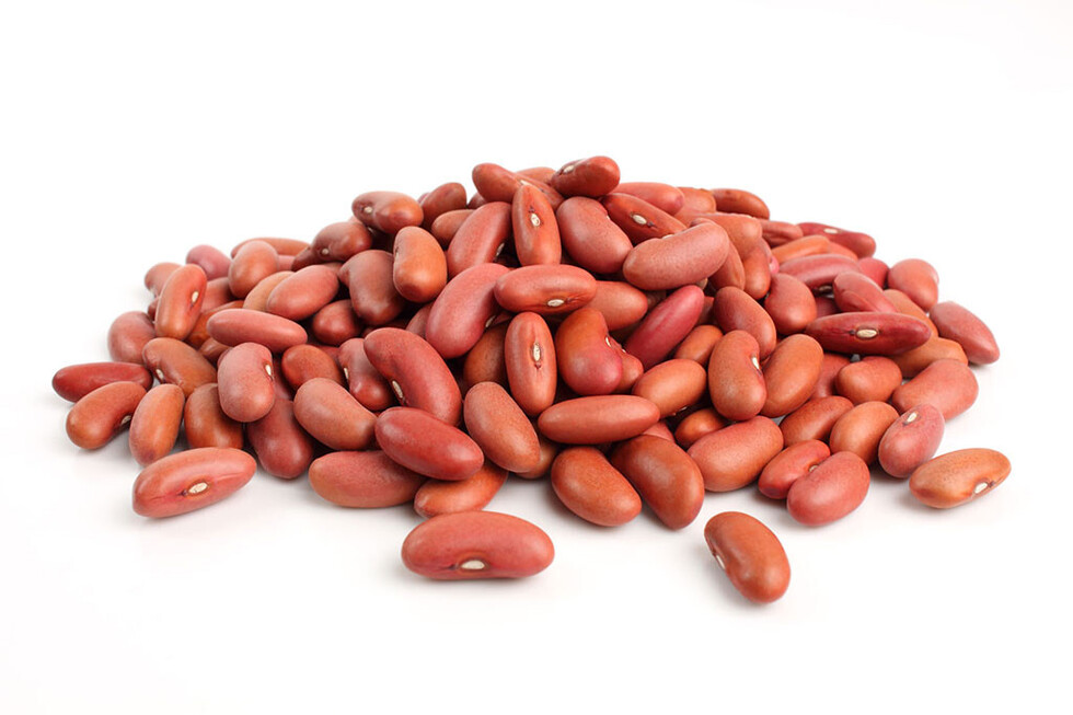 Los porotos  en la  nutrición