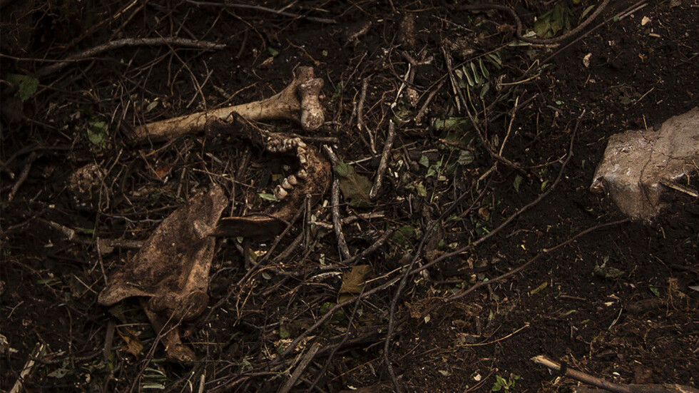 Hallaron en México una  fosa con 166 restos óseos