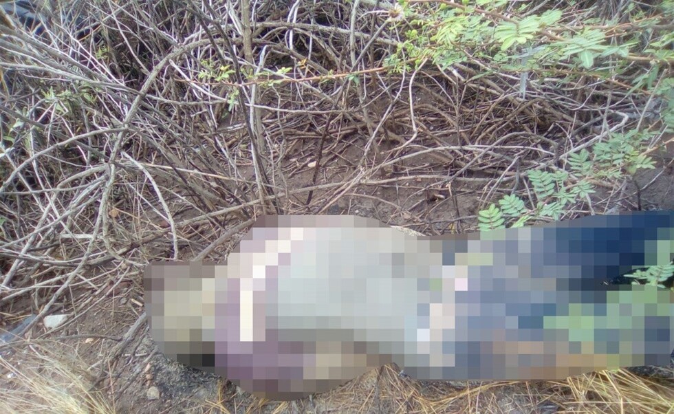 Hallan una mano y luego el cuerpo en Padcaya