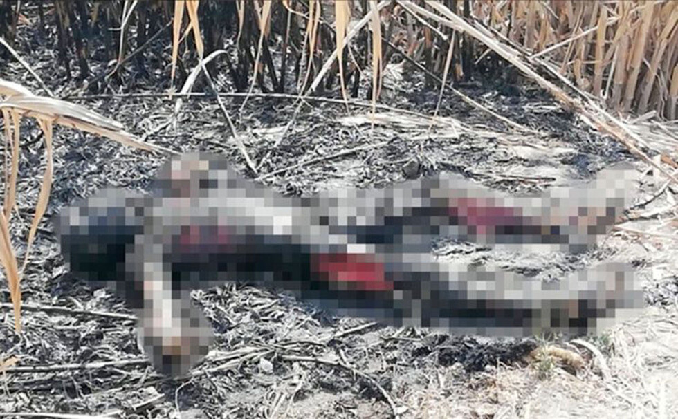 Hallan cadáver calcinado y comido por perros