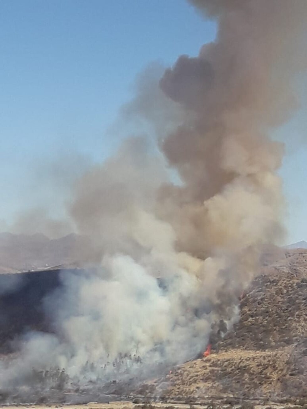 Bomberos voluntarios intentan sofocar incendio en provincia Méndez (VIDEO)