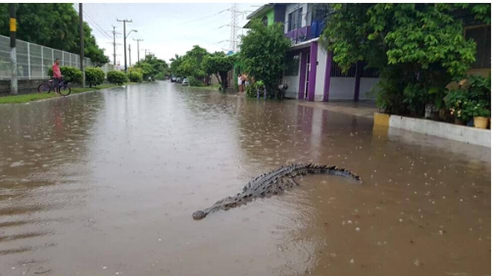 Tres muertos tras desborde de río y una represa