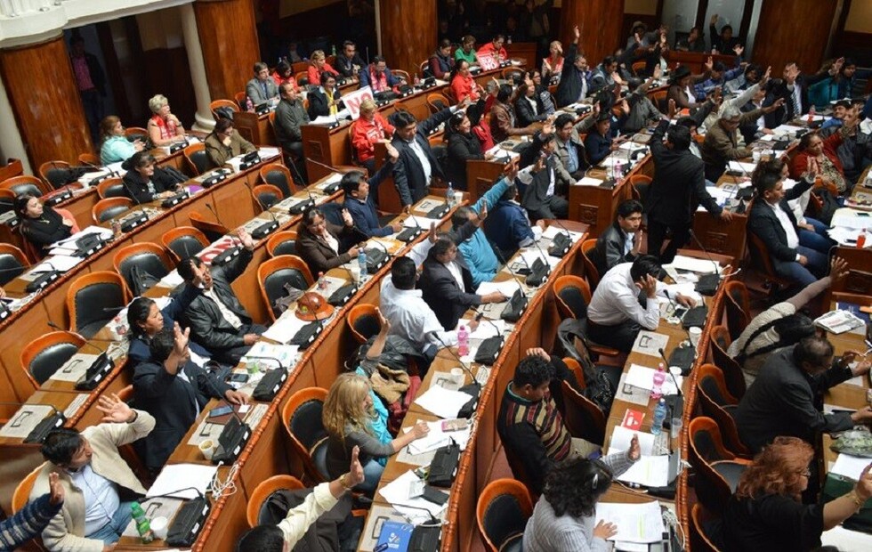MAS aprueba la amnistía para Mesa y Tuto, en medio de abstención opositora