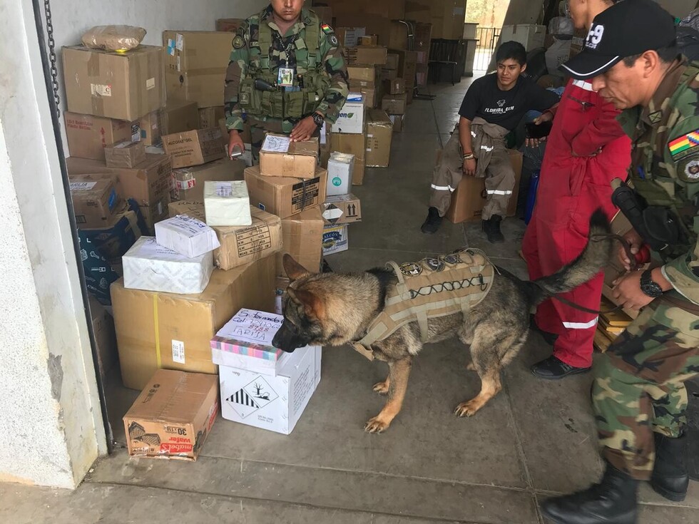 Can antidroga encontró marihuana en la Terminal