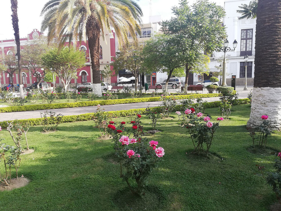 La primaveral plaza Luis de Fuentes