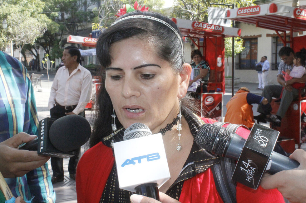 Holanda analiza trabajar en Tarija  con proyectos