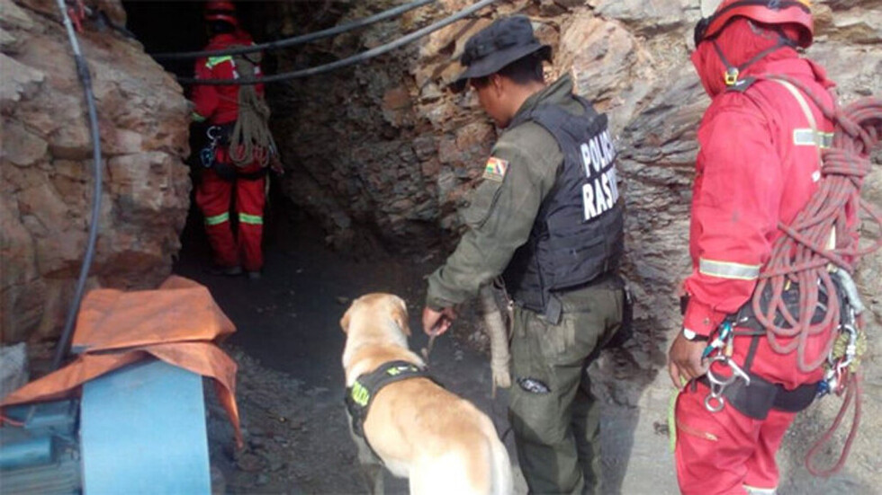 Policía descarta sacrificio de un niño en una mina