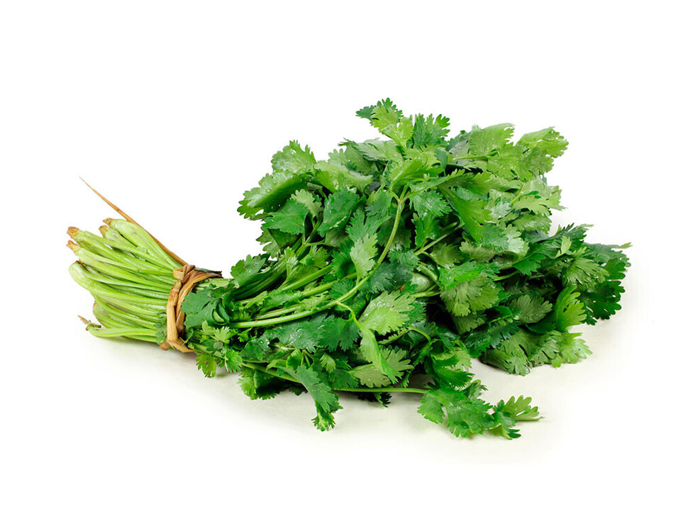 El Cilantro en la nutrición