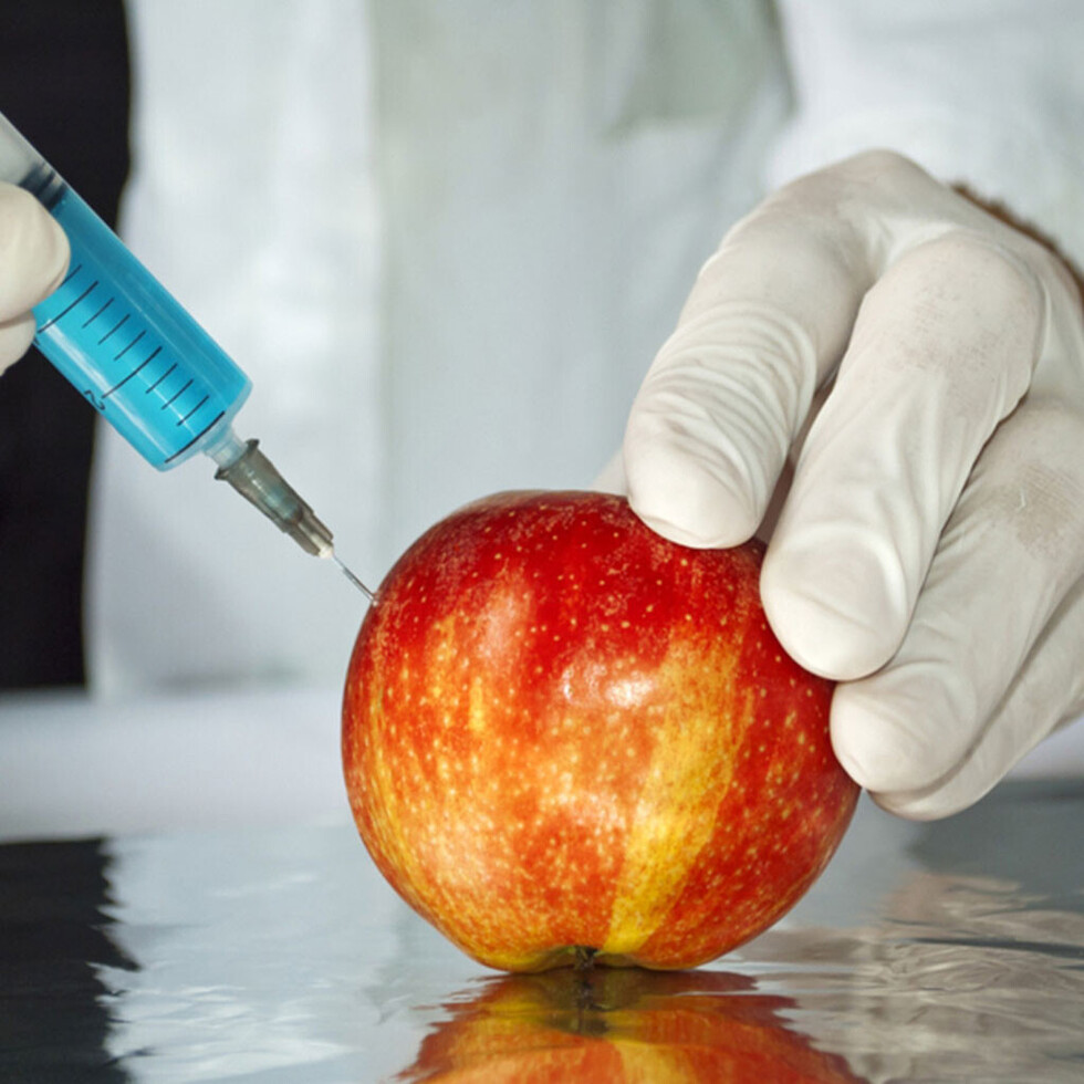 Detectando alimentos transgénicos