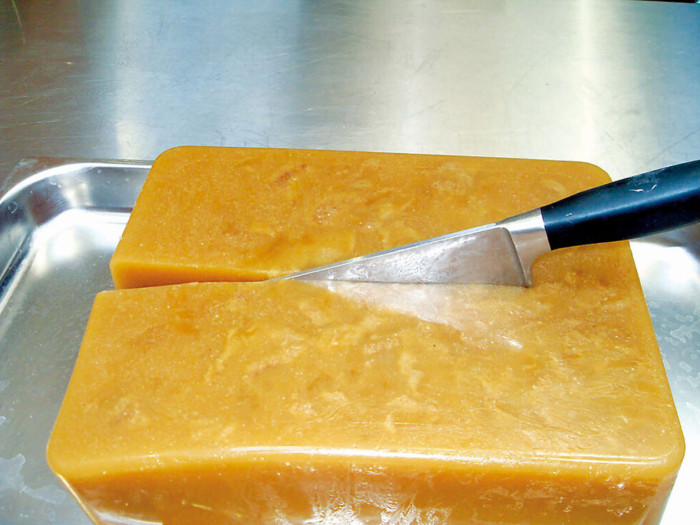 Una potencial fuente de proteínas