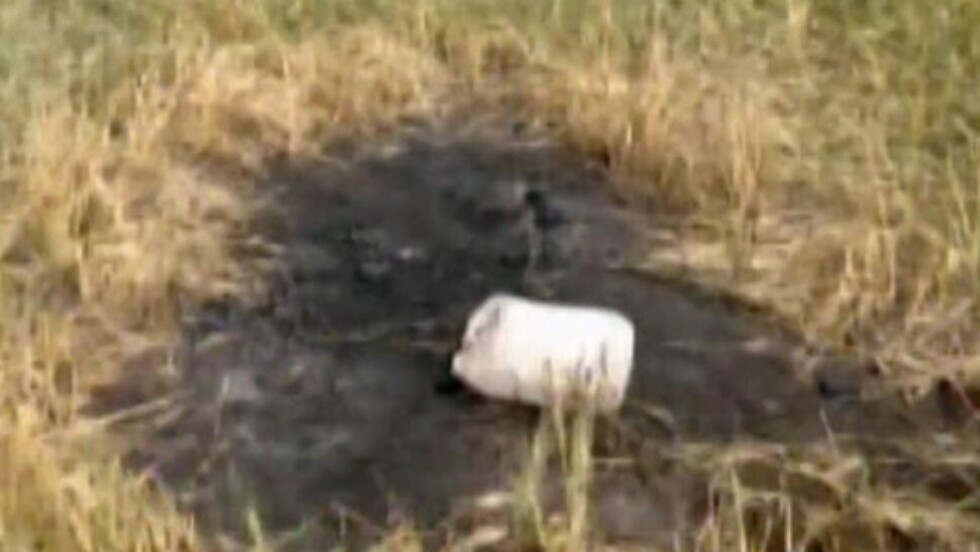 Incineraron a italiano por 30 kilos de cocaína