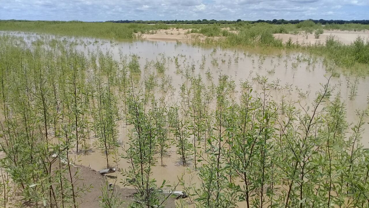 El río Pilcomayo llegó a los 2,24 metros y continua en ascenso