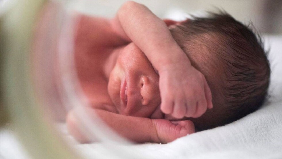 Ocho niños nacieron en víspera de Navidad en hospital San Juan de Dios