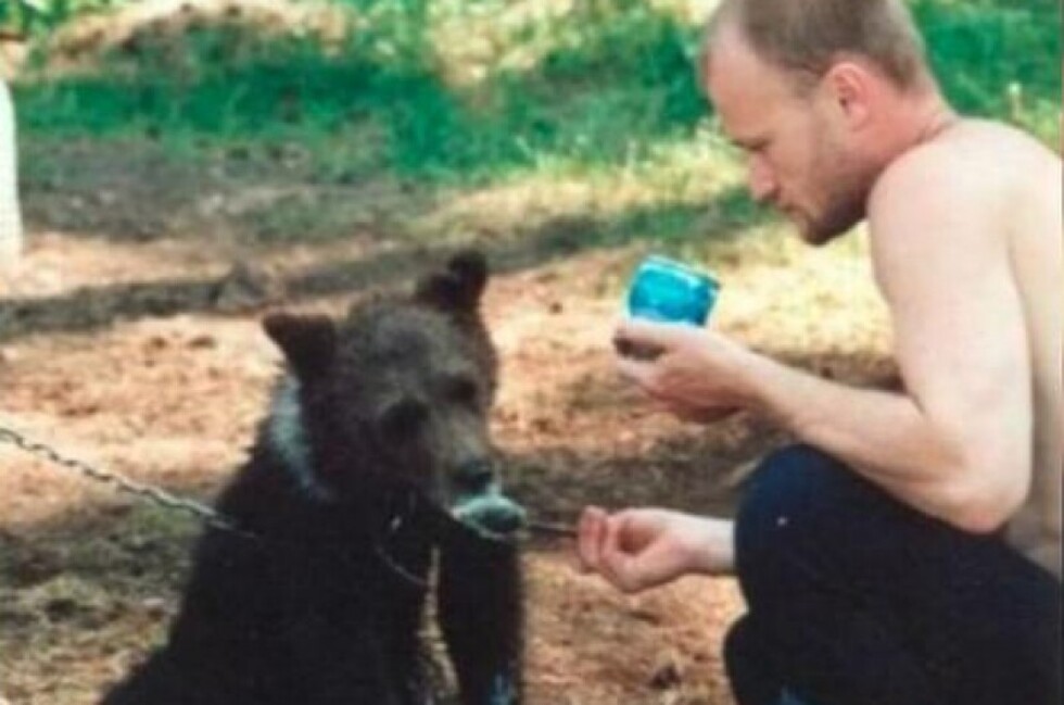 Crió un oso en su casa y terminó devorado