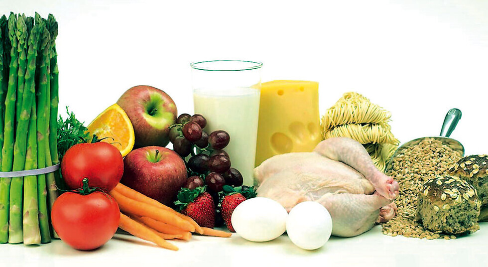 Alimentos  ricos en    vitamina B12