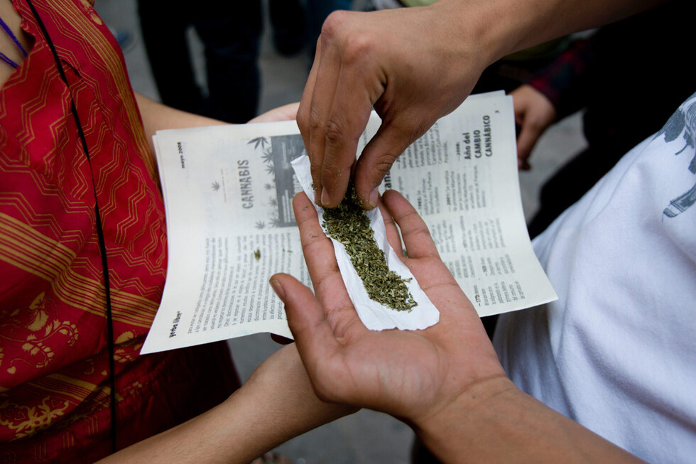 Los mitos, la excusa para el consumo de marihuana en Tarija