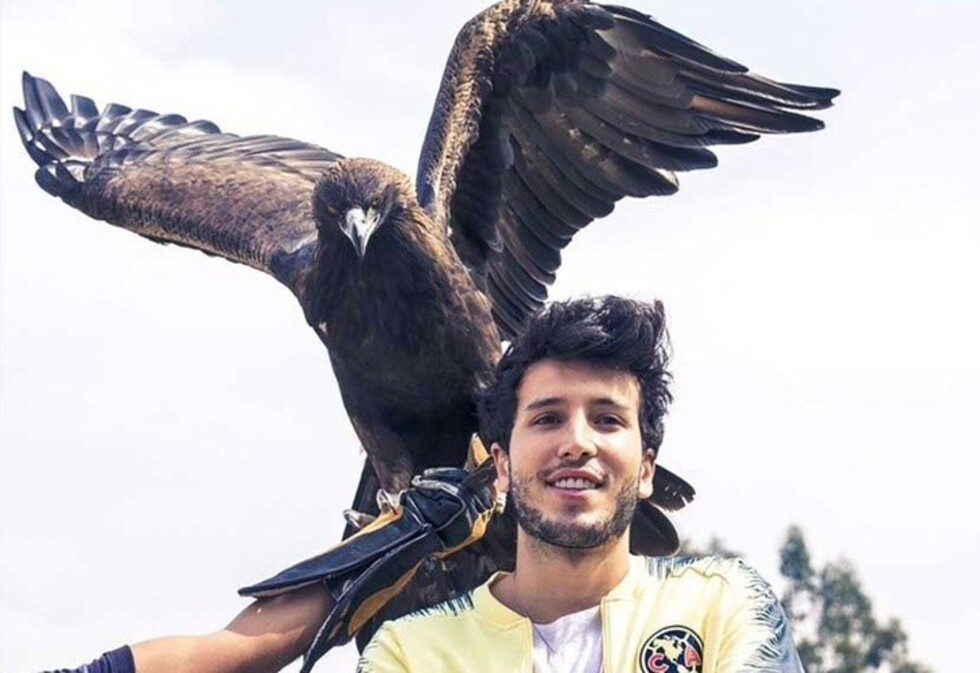 Águila picoteó a Sebastián Yatra