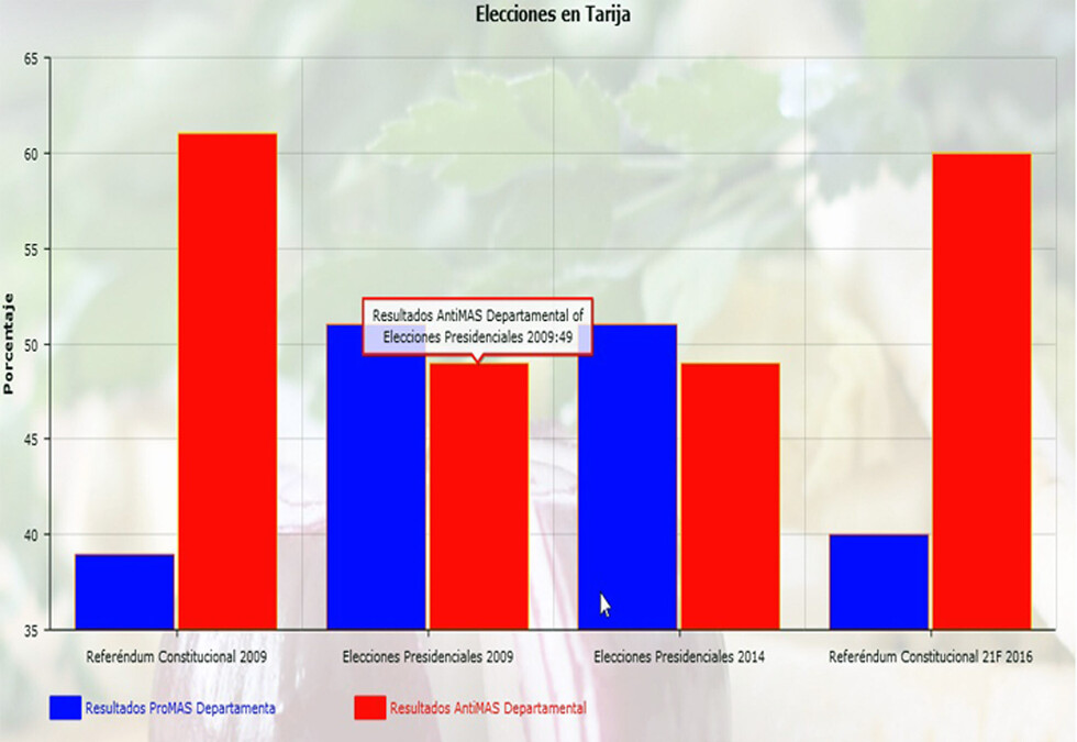 La Constitución, un punto de inflexión electoral en Tarija