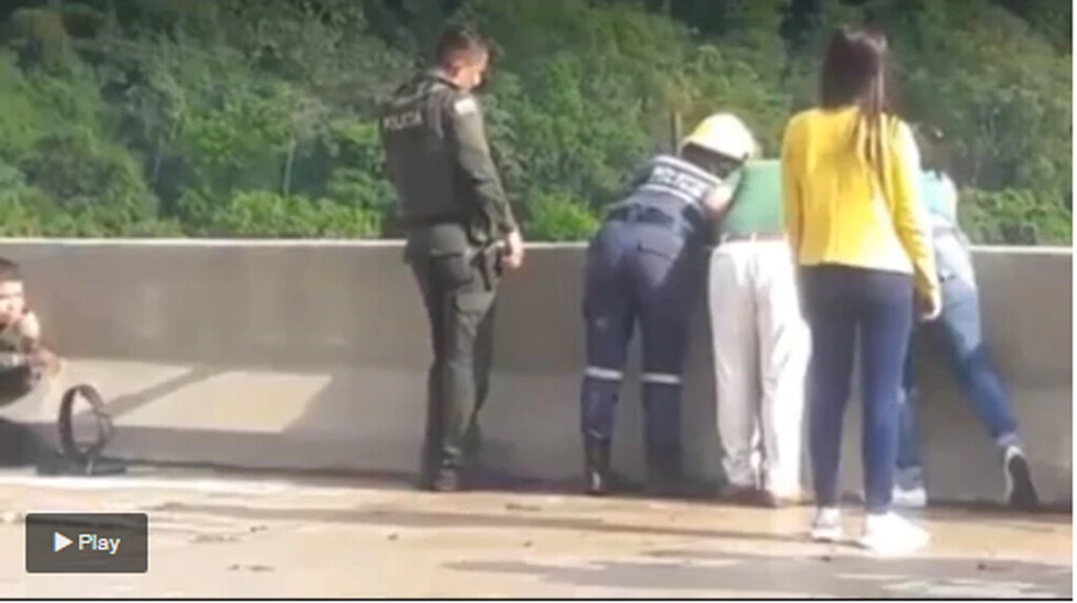 Conmoción: se lanzó de un puente con su hijo en brazos
