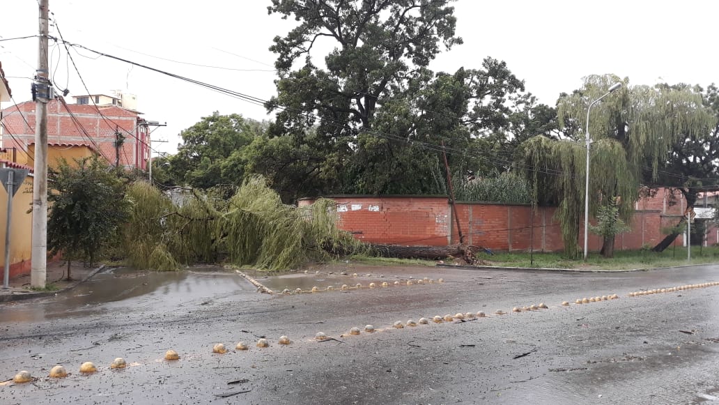 Tormenta en Tarija causa estragos: "un trueno y chau luz" (FOTOS)