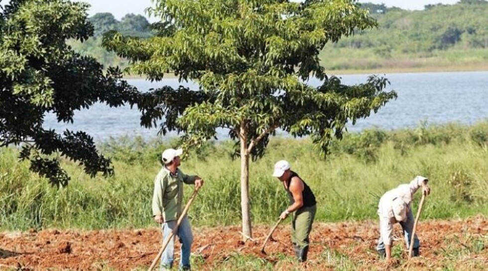 Casi 90% de tierras fue para campesinos e interculturales
