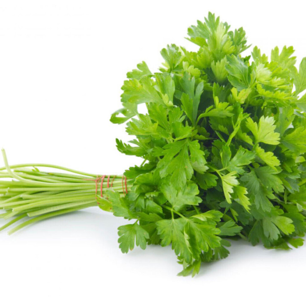 El perejil  en la nutrición