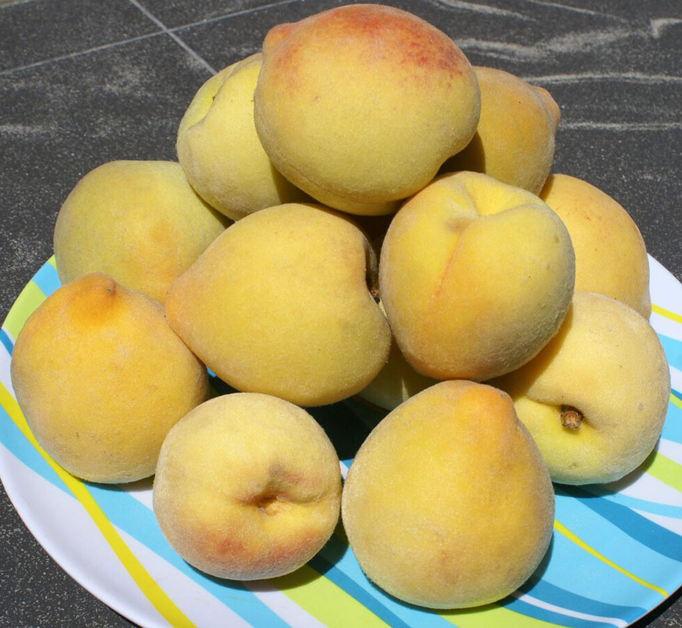 El durazno  en la nutrición