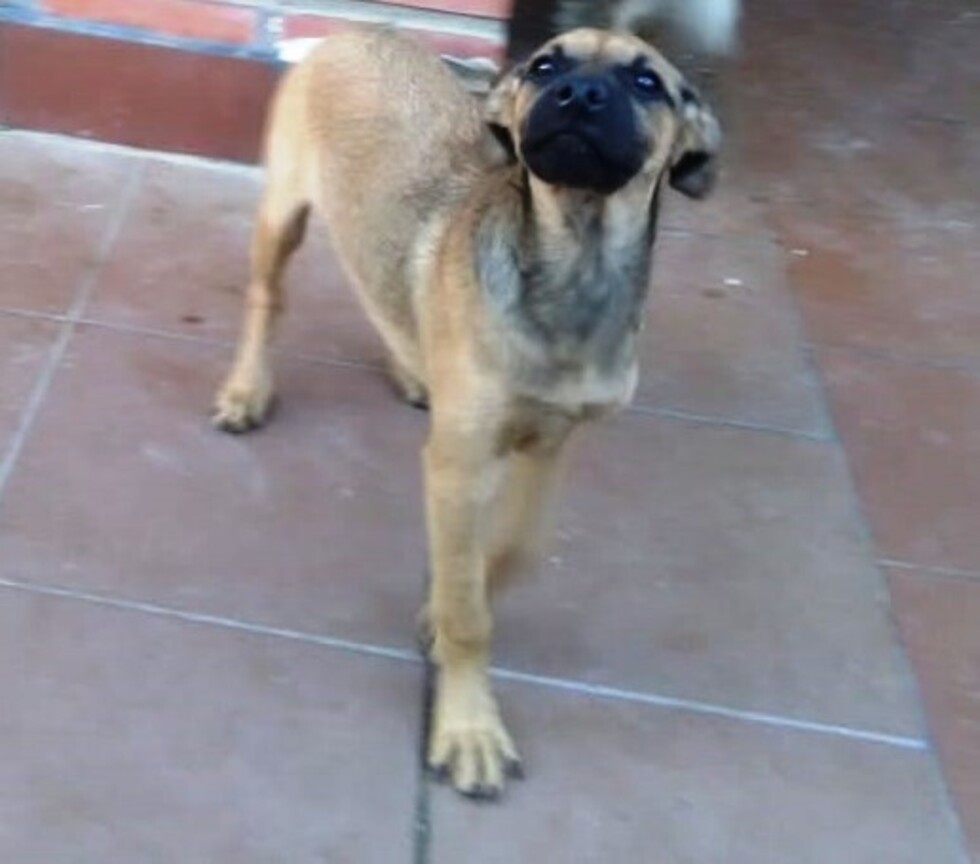 Nucita, dulce como su nombre