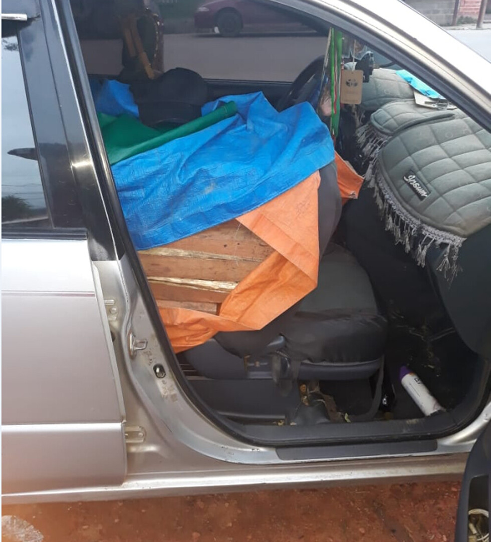 Policía decomisa madera ilegal en La Pintada