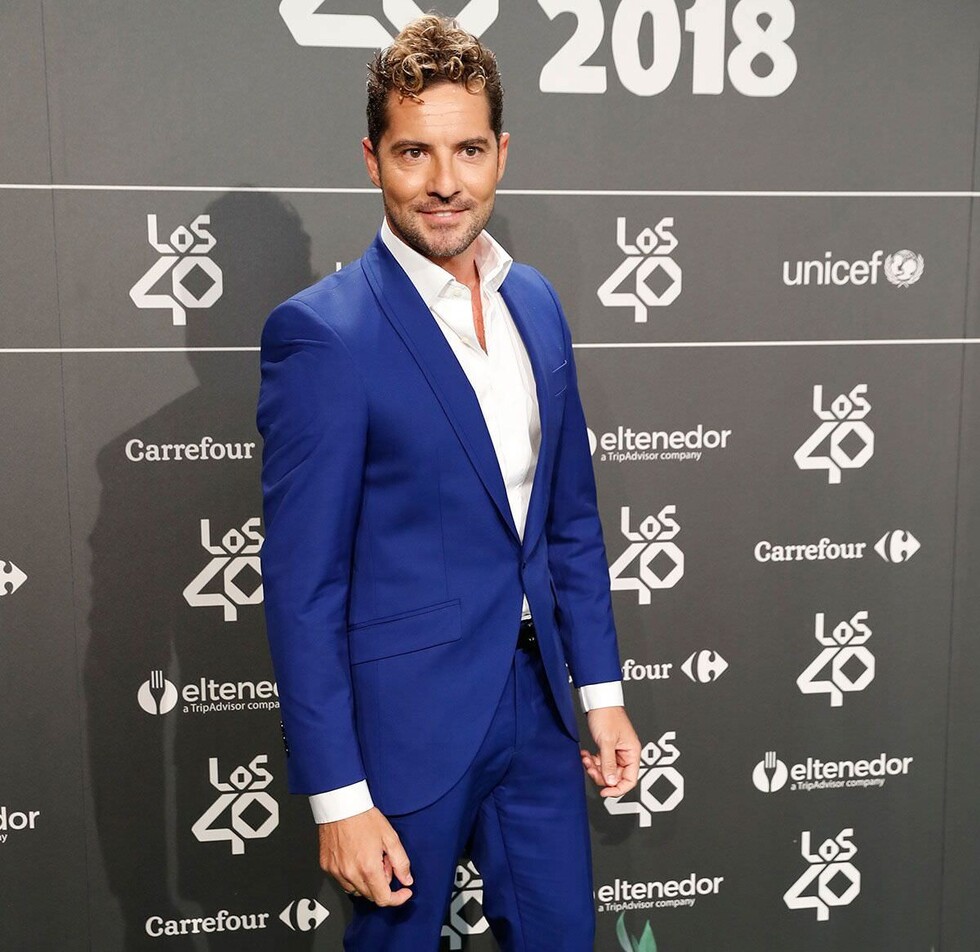 David Bisbal afirma que su exmujer no protege a su hija