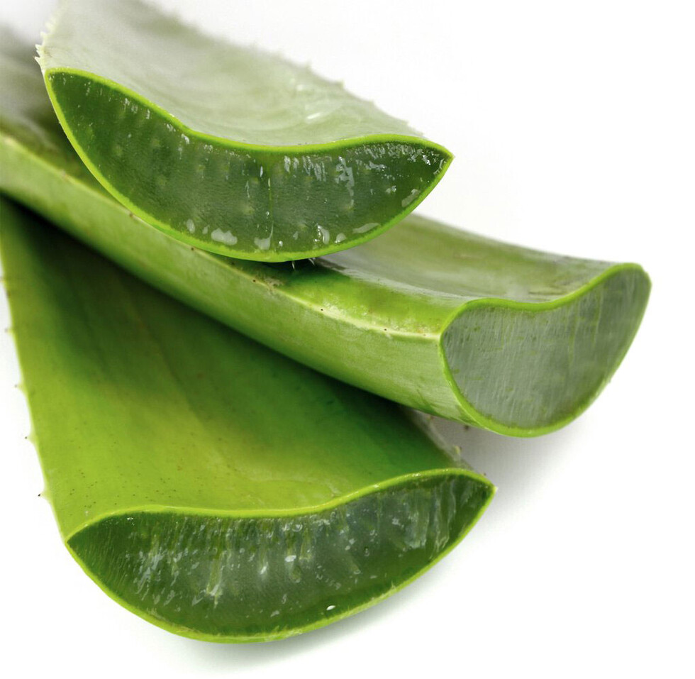 Aloe vera y alimentación