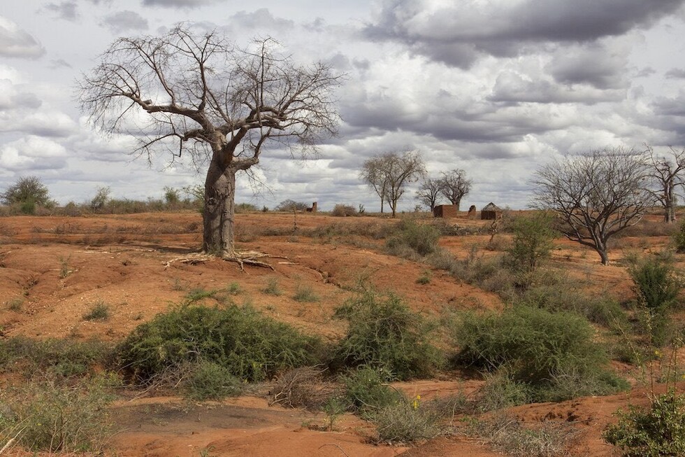 La degradación de las tierras  empeora la brecha de género