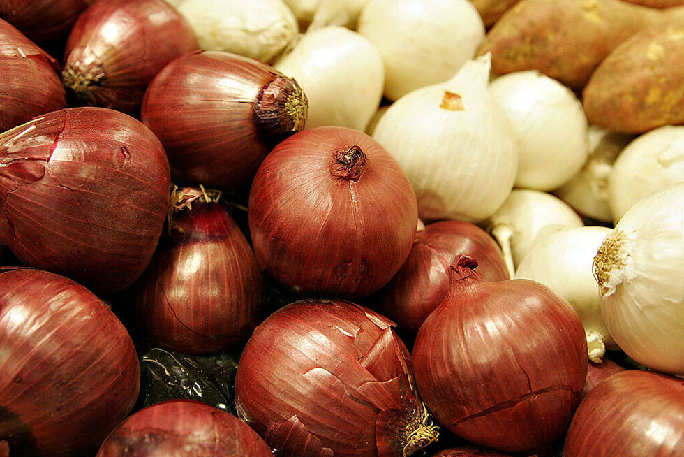 Bondades de la cebolla