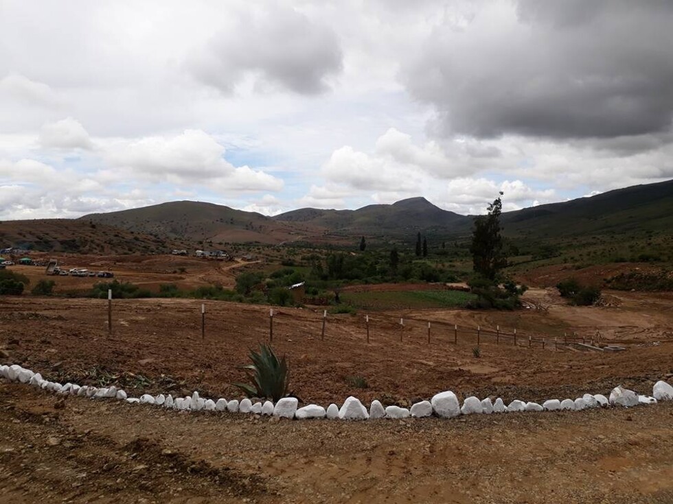 Paz alista “cumbre” para solucionar lío campesino