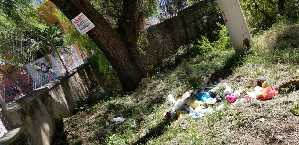 Bosquecillo de Juan XXIII perdió casi 600 metros por loteamientos