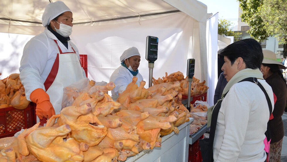 Avícolas cuantifican 5 millones de pollos de sobreproducción