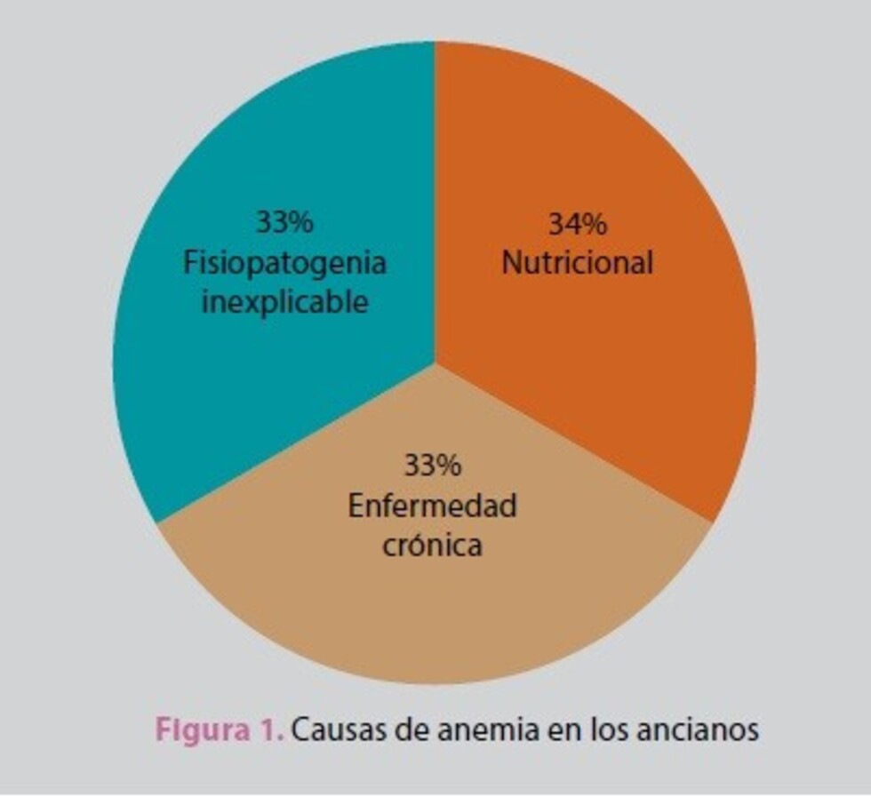 La anemia, la sombra inadvertida de los ancianos en Tarija