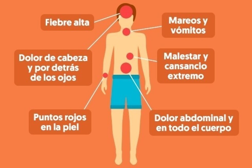 Sedes confirma 3 casos de dengue autóctono en Tarija