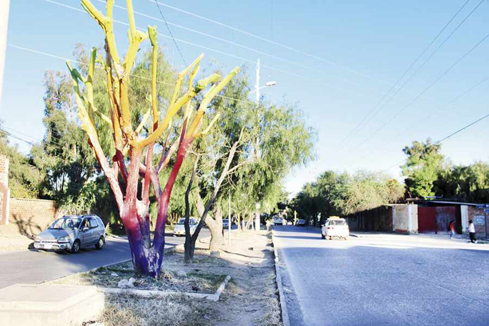 Raptaron a discapacitada, la violaron y la devolvieron