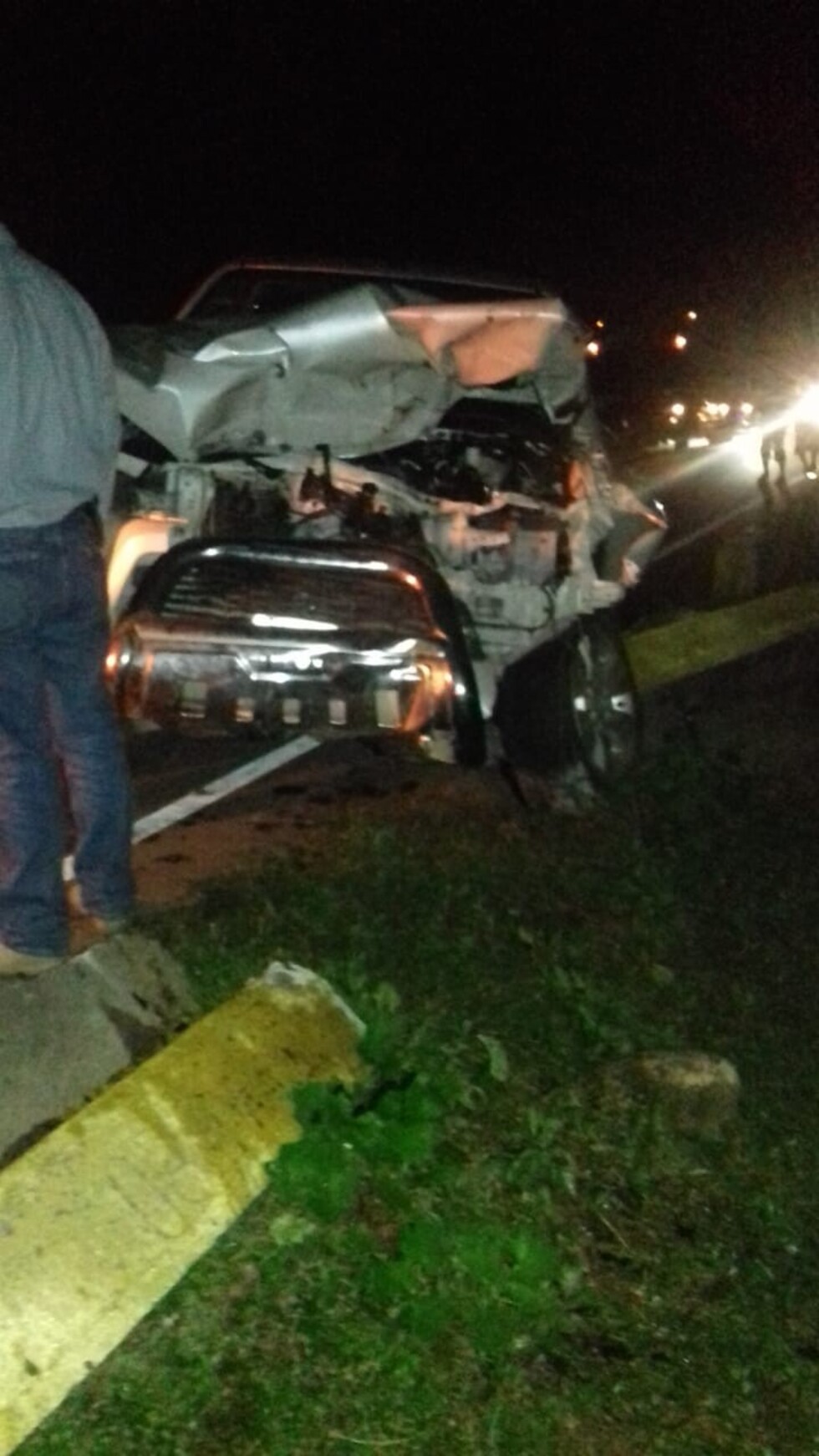 Atropelló a una vaca y la camioneta quedó destrozada