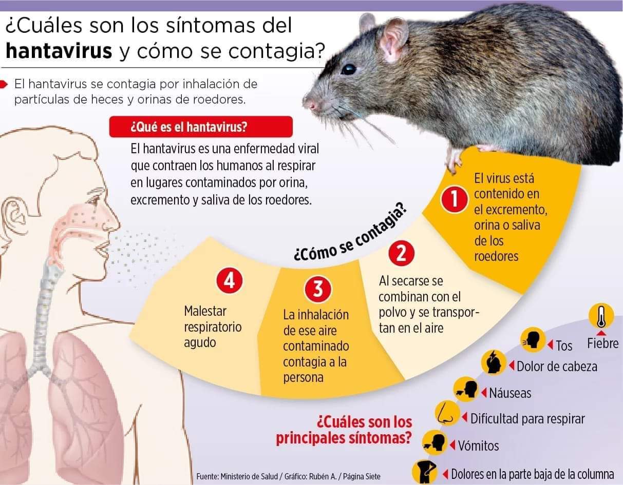 Aumenta a 286 los militares  vigilados por brote hantavirus