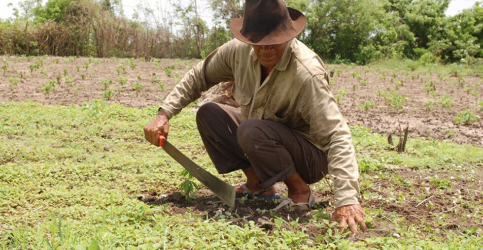 Burocracia, contrabando y despilfarro agudizan desempleo rural en Tarija
