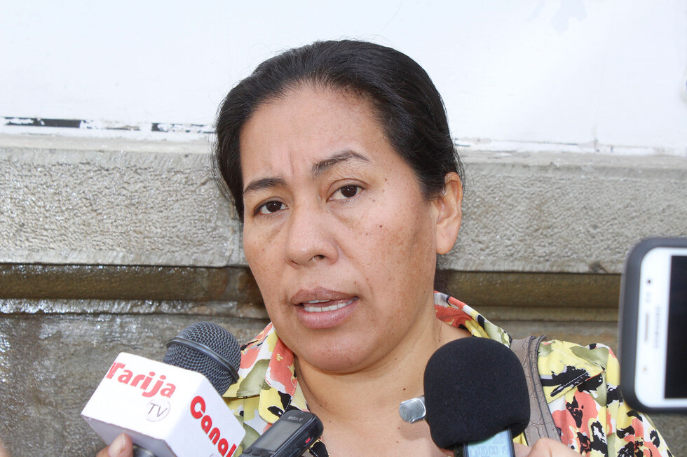Sedeges desconoce alcance de Ley que facilita las adopciones