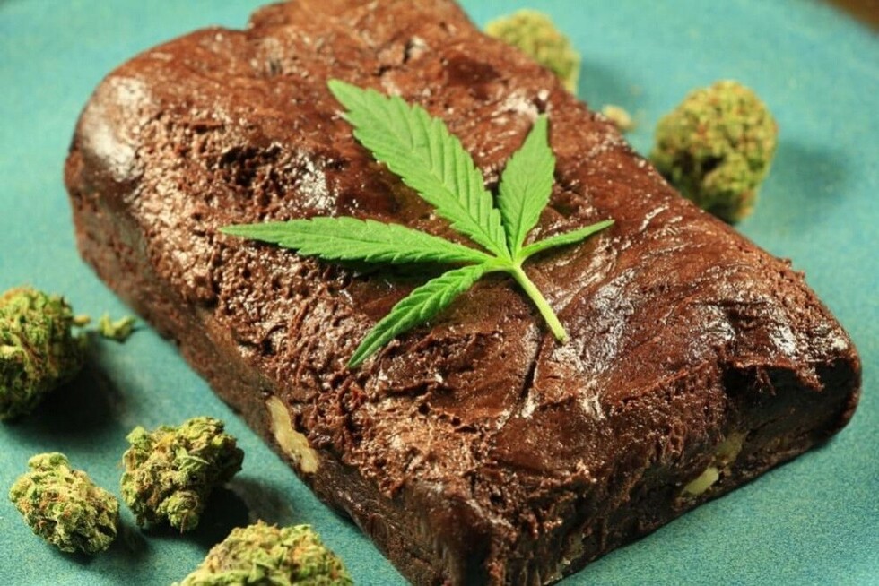 Menores se intoxican luego de consumir un queque con marihuana