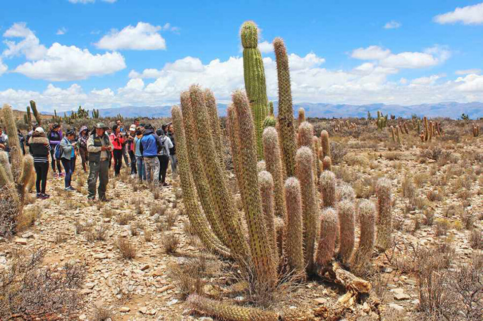 La sequía afecta a 4 municipios en Tarija