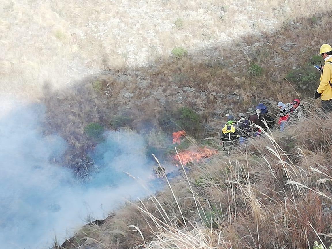 Personal de UGR detectará incendios a través del celular