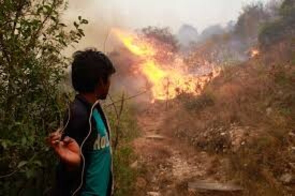 Campesinos apelan a la “justicia  comunitaria” contra los chaqueos