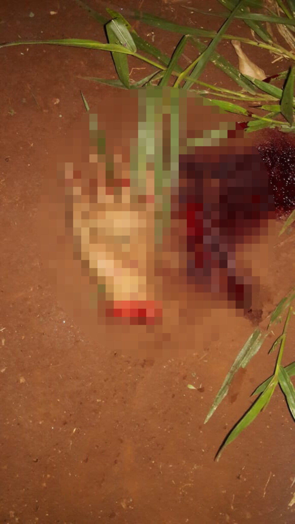 Mutilan y matan a 2 hombres en Paraguay