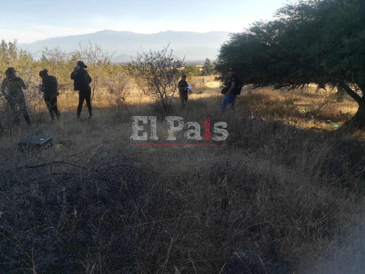 Según reporte: Carmen murió tras liberación de principal sospechoso
