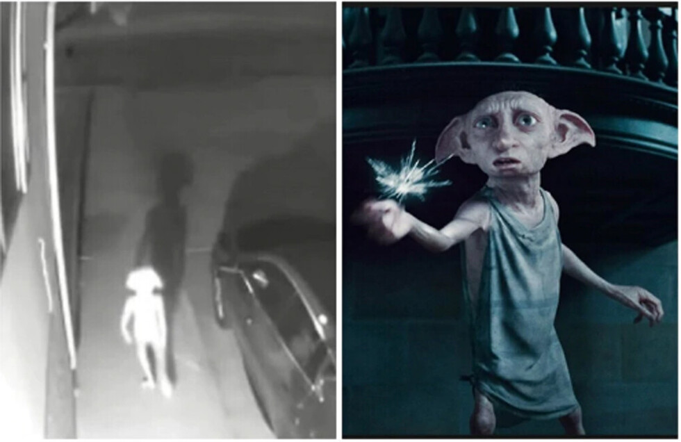 Video viral captó a “elfo” de Harry Potter